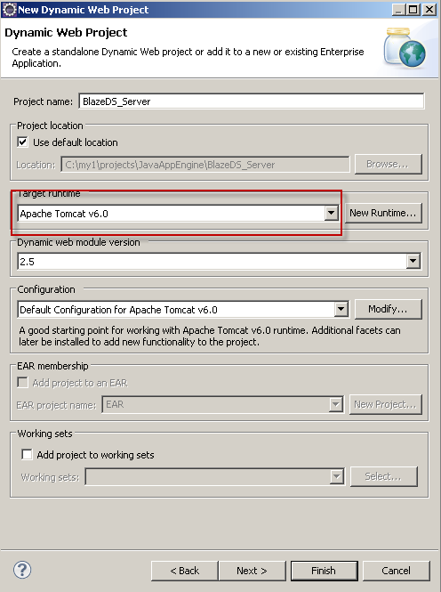 dynamic web project